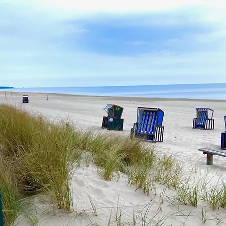 Entspannung Garantiert, Finnhuette Umgeben Von Und Ostsee - Kurt 트라센하이드